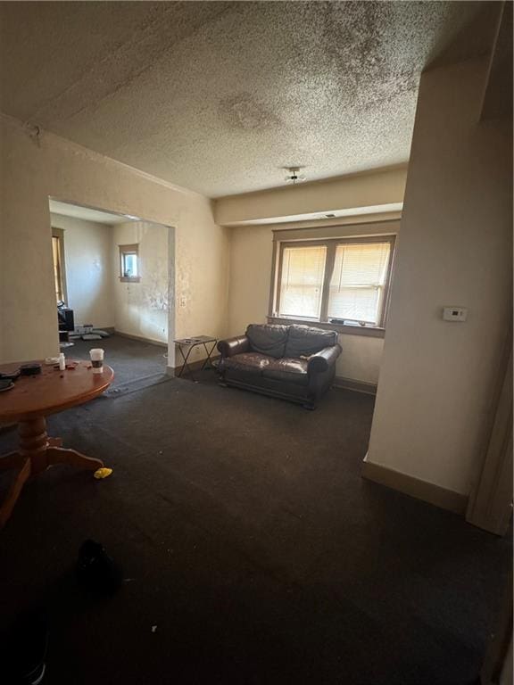 2416 E 22nd St, Kansas City, MO 64127 - living area with plenty of natural light and a textured ceiling