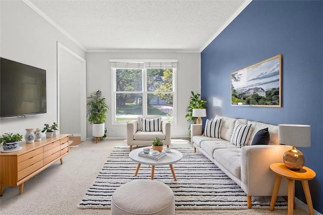 18970 W 115th Ter, Olathe, KS 66061 - living room with ornamental molding, a textured ceiling, and light carpet