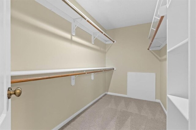 18970 W 115th Ter, Olathe, KS 66061 - spacious closet featuring carpet