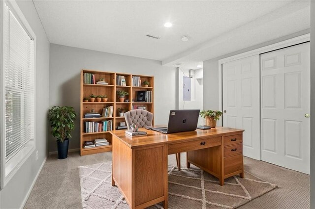 18970 W 115th Ter, Olathe, KS 66061 - office area with light carpet and electric panel