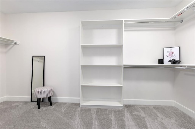 14600 Reinhardt Ln, Leawood, KS 66224 - walk in closet with carpet flooring