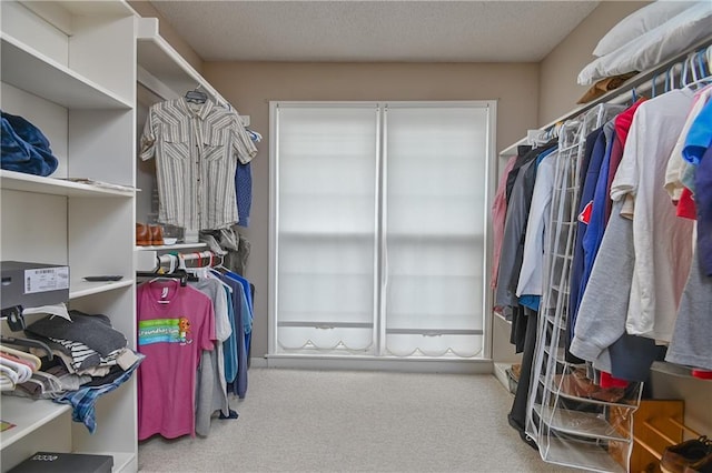 5303 Hallet St, Shawnee, KS 66216 - spacious closet featuring carpet floors