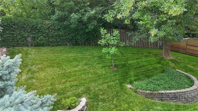 5303 Hallet St, Shawnee, KS 66216 - view of yard