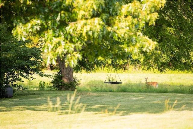11001 S Perdue Rd, Grain Valley, MO 64029 - view of yard
