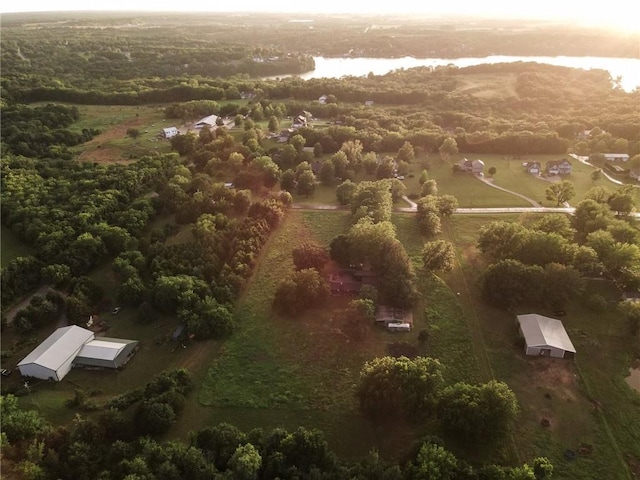 11001 S Perdue Rd, Grain Valley, MO 64029 - view of property location featuring rural landscape