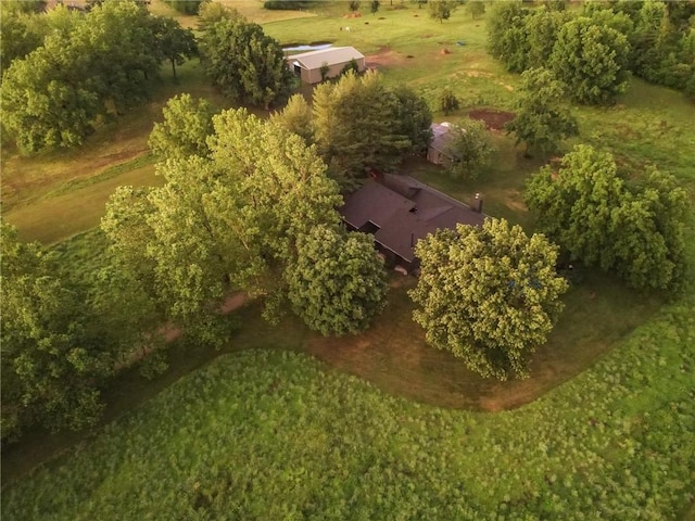 11001 S Perdue Rd, Grain Valley, MO 64029 - aerial view of property and surrounding area