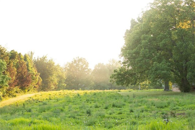 11001 S Perdue Rd, Grain Valley, MO 64029 - view of undeveloped land