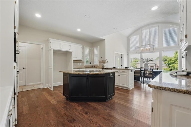15340 Knox St, Overland Park, KS 66221 - kitchen with dark wood-type flooring, light stone counters, a center island, vaulted ceiling, and recessed lighting
