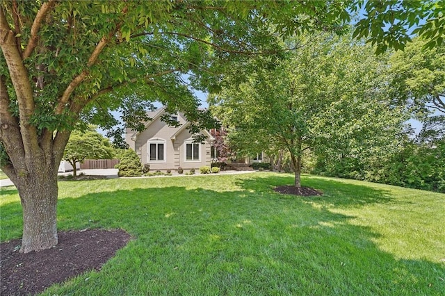 15340 Knox St, Overland Park, KS 66221 - view of green lawn