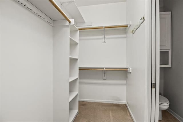 1111 SW 13th St, Oak Grove, MO 64075 - spacious closet with carpet flooring