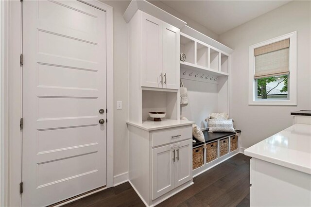 11807 S Kenton St, Olathe, KS 66061 - mudroom featuring dark wood finished floors and baseboards