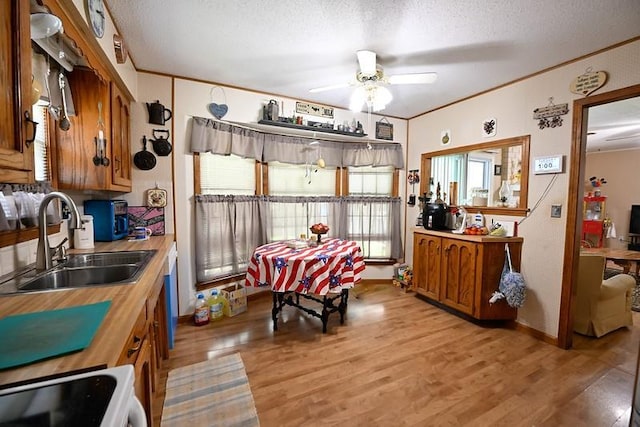 1113 SW 17th St, Blue Springs, MO 64015 - photo 6