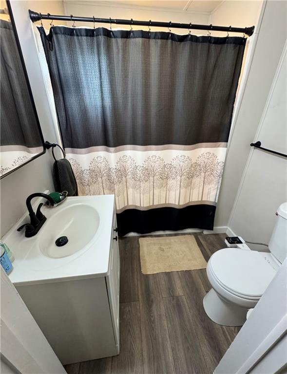 110 W 7th St, Knob Noster, MO 65336 - bathroom with vanity, wood finished floors, and a shower with curtain