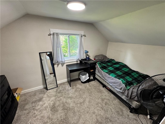 110 W 7th St, Knob Noster, MO 65336 - bedroom with vaulted ceiling and carpet floors