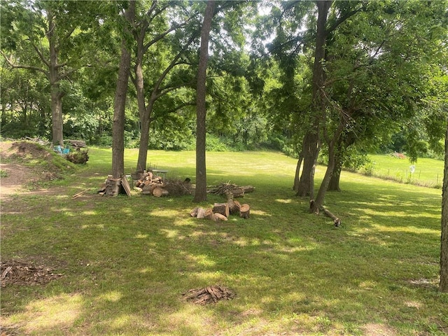 1335 S Osage St, Independence, MO 64055 - photo 18
