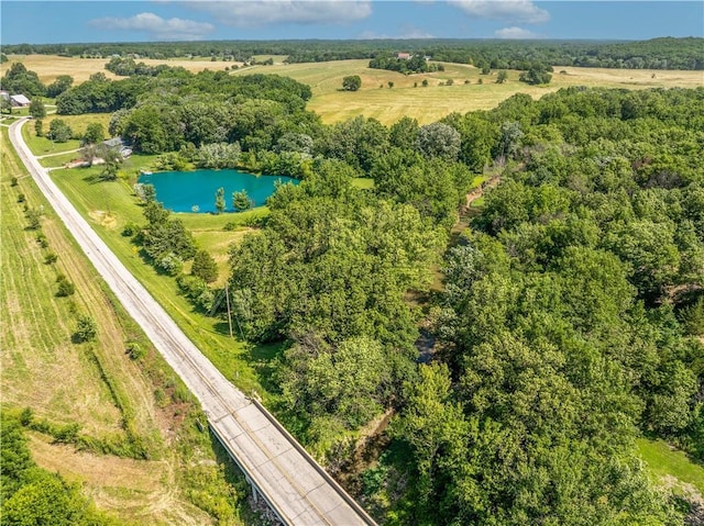 459 SE Pp Hwy, Leeton, MO 64761 - photo 60