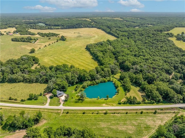 459 SE Pp Hwy, Leeton, MO 64761 - photo 61