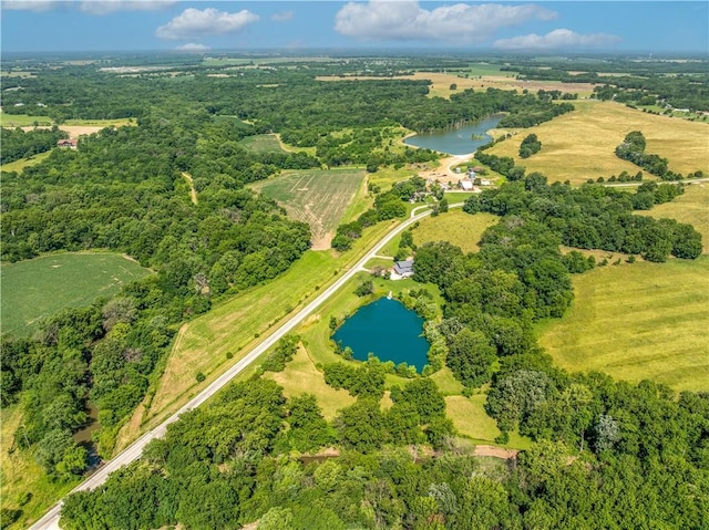 459 SE Pp Hwy, Leeton, MO 64761 - photo 62