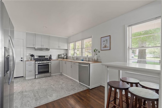7801 W 55th Ter, Overland Park, KS 66202 - kitchen featuring stainless steel appliances, under cabinet range hood, light countertops, tasteful backsplash, and light wood-style flooring
