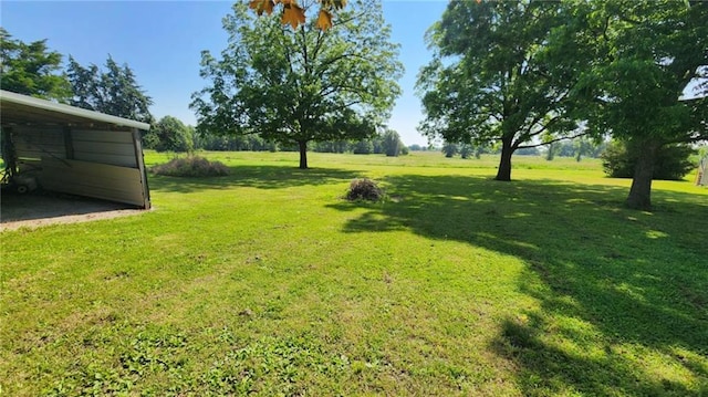 304 N Mckinley St, Weir, KS 66781 - view of grassy yard