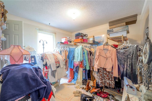 1924 E Sleepy Hollow Dr, Olathe, KS 66062 - view of walk in closet