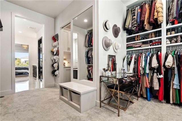 11594 S Zarda Dr, Olathe, KS 66061 - spacious closet featuring carpet floors