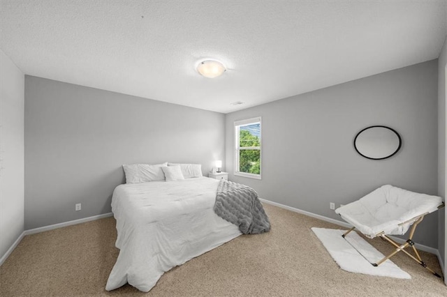 13428 W 172nd St, Overland Park, KS 66221 - bedroom featuring carpet and a textured ceiling