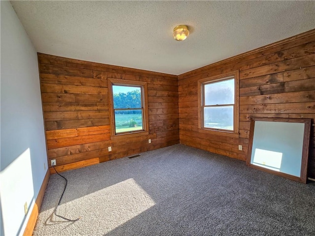 2359 Gp Rd, Ks, KS 66850 - spare room with carpet flooring, wood walls, and a textured ceiling