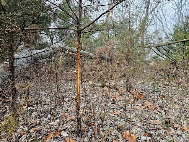 2359 Gp Rd, Ks, KS 66850 - view of woods