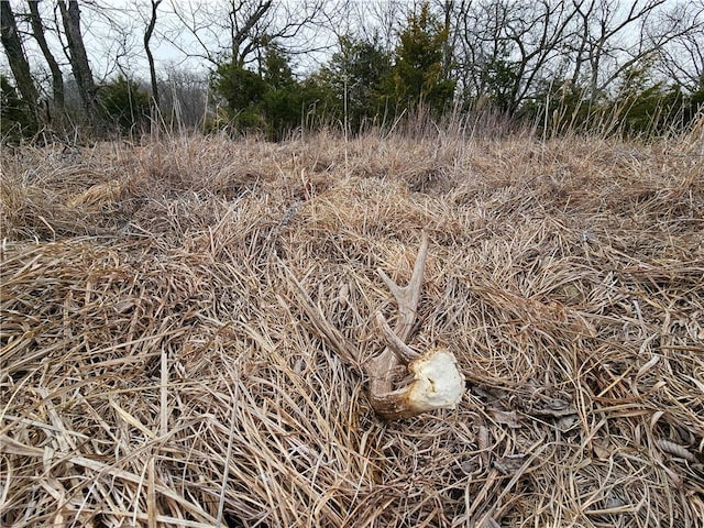 2359 Gp Rd, Ks, KS 66850 - view of local wilderness