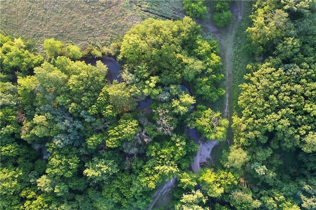 2359 Gp Rd, Ks, KS 66850 - view of property location featuring a forest