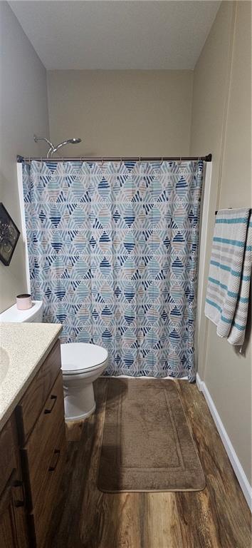 3632 SE 228th St, Lathrop, MO 64465 - bathroom with vanity, wood finished floors, and curtained shower