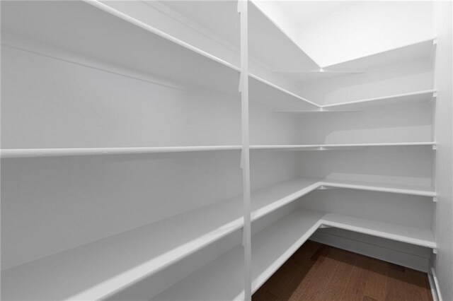 3113 SW Arboridge Dr, Lees Summit, MO 64081 - view of pantry
