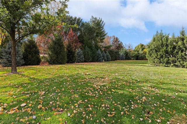 14713 Ash St, Leawood, KS 66224 - view of green lawn