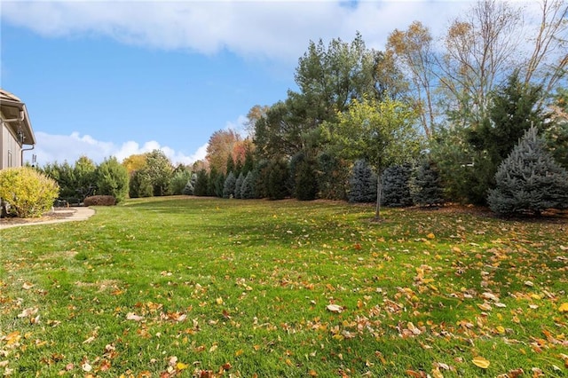 14713 Ash St, Leawood, KS 66224 - view of green lawn
