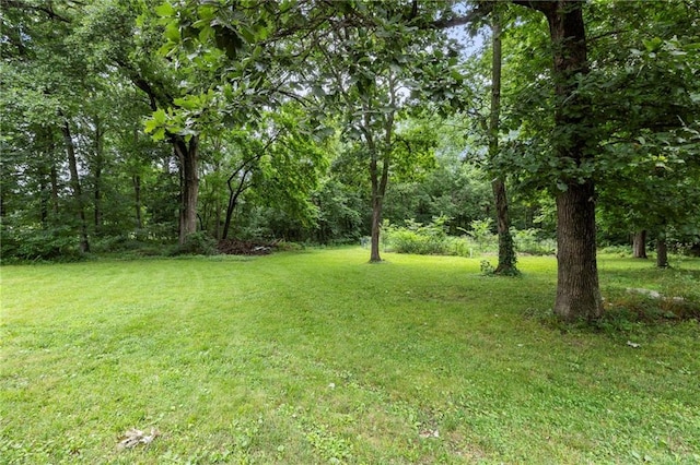 29200 S Walker Rd, Harrisonville, MO 64701 - photo 45