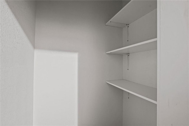 520 Sandusky Ave, Kansas City, KS 66101 - view of spacious closet