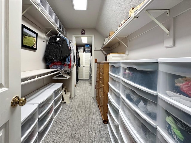 4117 NE Edgewater Ct, Lees Summit, MO 64064 - view of storage area