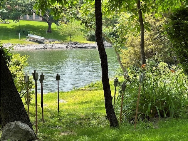 4117 NE Edgewater Ct, Lees Summit, MO 64064 - water view