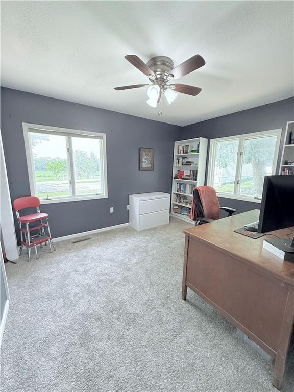 25883 250th St, Maryville, MO 64468 - photo 11