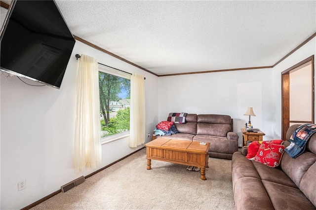 1422 S Kiowa Dr, Olathe, KS 66062 - carpeted living room featuring ornamental molding and a textured ceiling