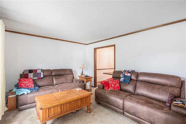 1422 S Kiowa Dr, Olathe, KS 66062 - living area featuring light colored carpet, ornamental molding, and a textured ceiling