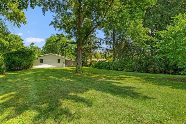811 NW Maynard St, Blue Springs, MO 64015 - view of grassy yard