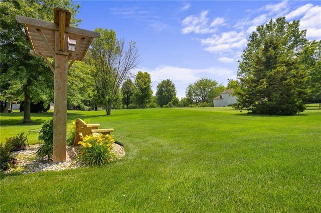 4148 SE Paddock Dr, Lees Summit, MO 64082 - view of green lawn