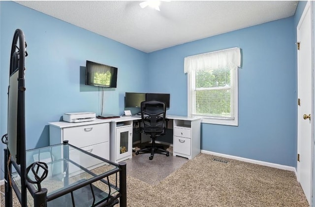 2541 NE Dale Hunter Ln, Lees Summit, MO 64086 - carpeted home office featuring baseboards and a textured ceiling