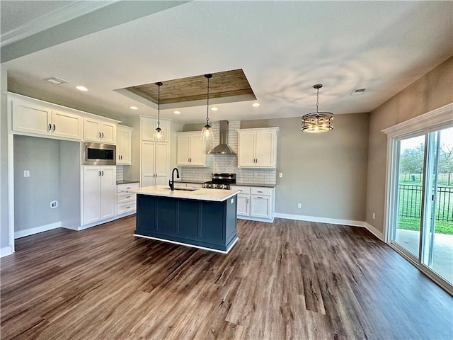 11805 E Ridgeview Ct, Peculiar, MO 64078 - kitchen featuring wall chimney range hood, stainless steel appliances, a raised ceiling, dark wood-style floors, and tasteful backsplash