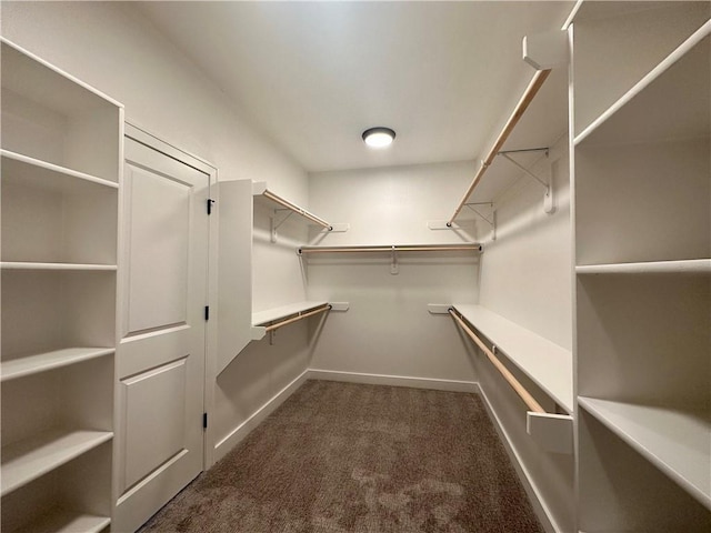 11805 E Ridgeview Ct, Peculiar, MO 64078 - walk in closet featuring carpet floors
