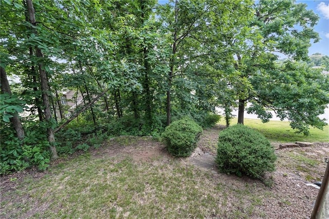 5708 Cottonwood St, Shawnee, KS 66216 - view of local wilderness