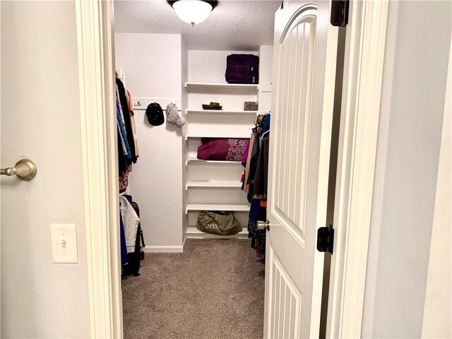 11224 Cernech Rd, Kansas City, KS 66109 - photo 14