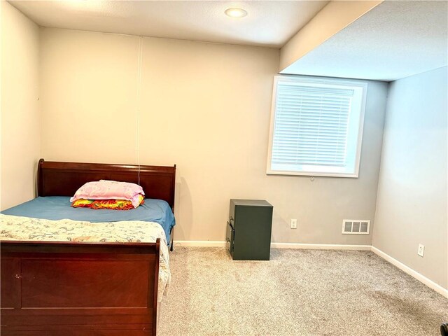 11224 Cernech Rd, Kansas City, KS 66109 - photo 39